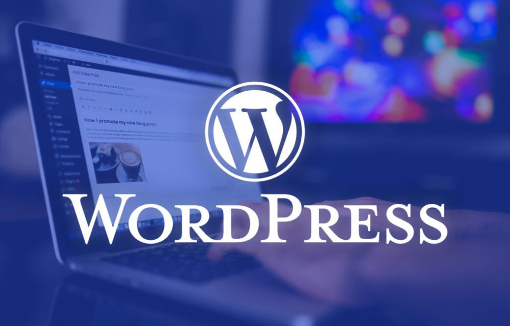 WordPress Site Performance and Speed Optimization