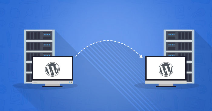 WordPress RSS Feeds and Their Usage