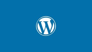 WordPress site kurulumu