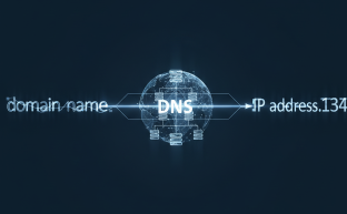 Alan adını IP adresine çeviren soyut DNS ağının dijital temsili.
