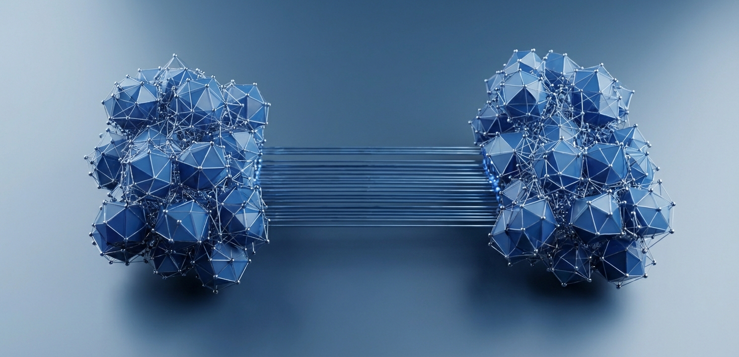 Modern Network Infrastructure relies on distinct autonomous systems exchanging routing information efficiently.