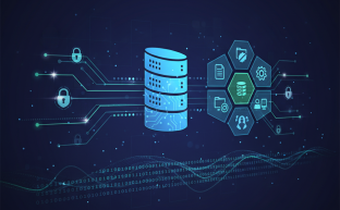 Digital representation of secure file transfer and management via cPanel FTP.