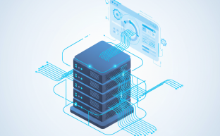 Digital illustration of Plesk Panel server installation and web hosting configuration.