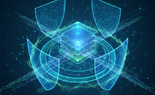Digital shield protecting a conceptual server with secure network connections.