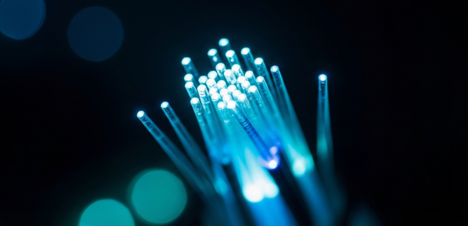Data Center Management requires constant monitoring of fiber optic network connectivity speeds.