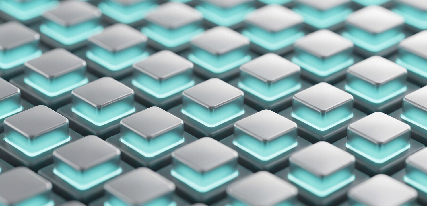 Server Backup solutions protect critical digital assets through structured organization and secure storage methods