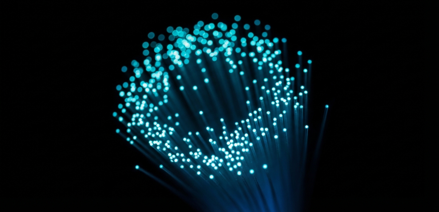 Server Security relies on encrypted connections to safeguard sensitive network traffic.