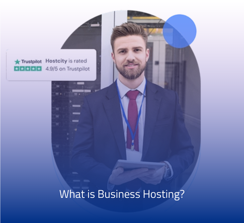 web hosting nedir